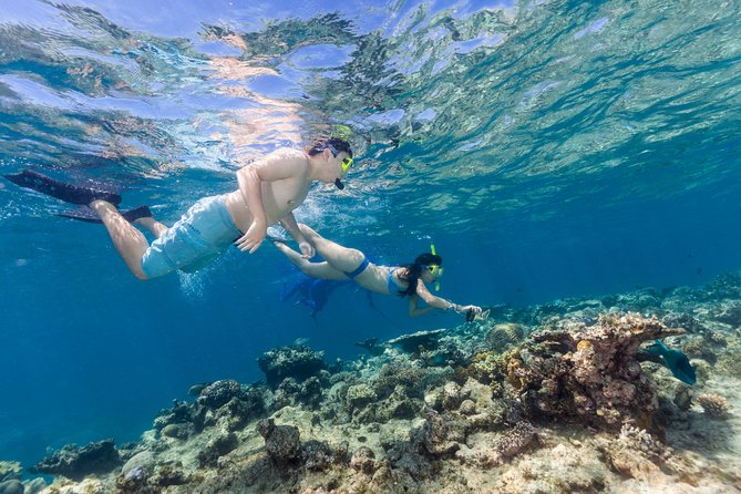 Great Barrier Reef Snorkeling and Diving Cruise From Cairns - Safety Precautions and Rules