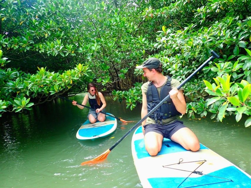 Ishigaki Island: 2-Hour Miyara River Kayaking Tour - Additional Information