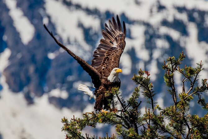 Lake Tahoe Small-Group Photography Scenic Half-Day Tour - Directions