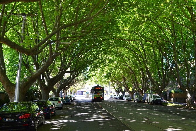 Melbourne Drive by Day Tour - Accessibility and Special Needs