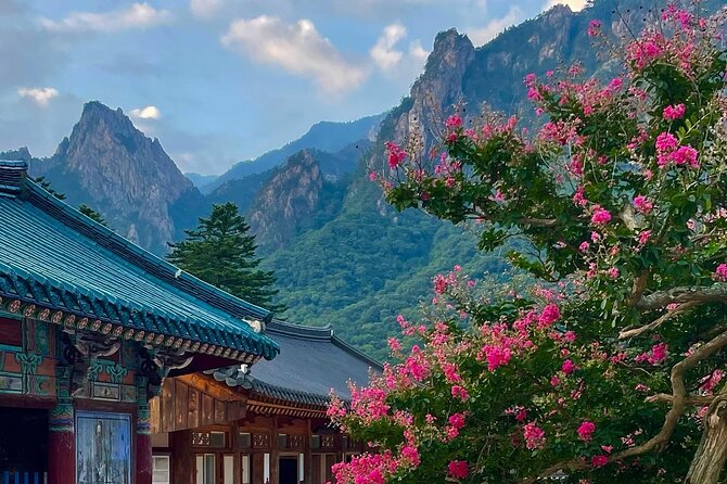 Mt. Seorak & The Tallest Ginko Tree at Yongmunsa - What to Expect on This Tour