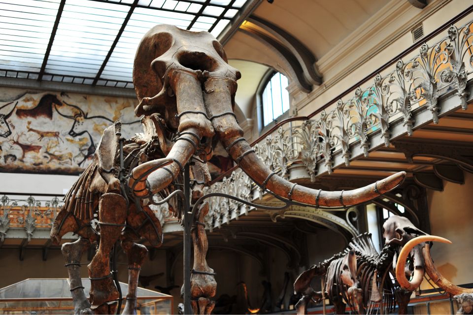 Paris: Private Museum and Highlights Tour for Families - Inclusions