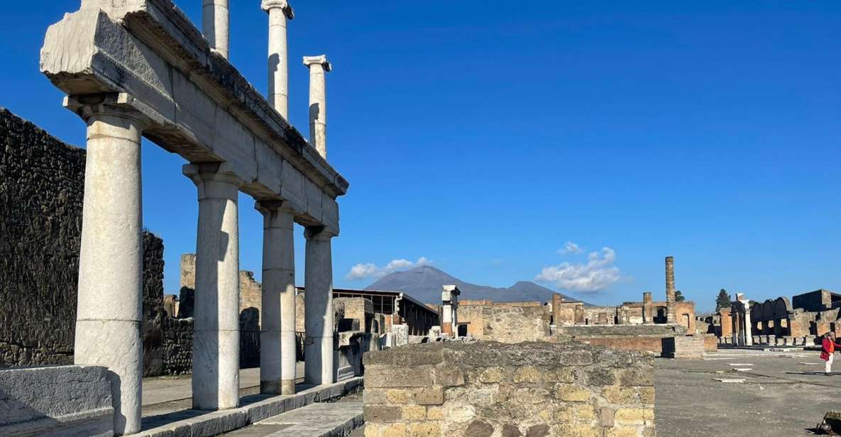 Rome: Pompeii and Naples Private Day Tour With Pizza Tasting - Inclusions