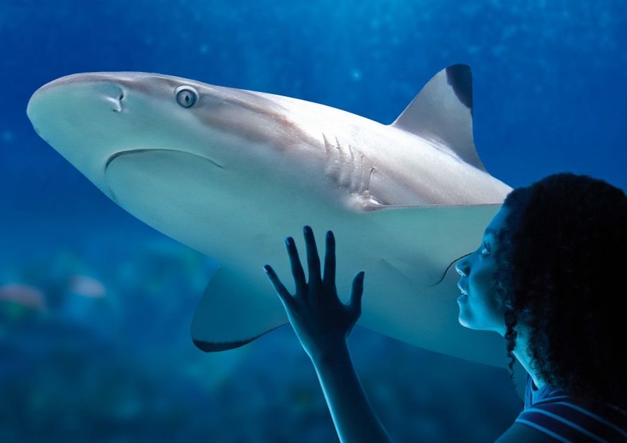 SEA LIFE Paris: Admission Ticket - Accessibility and Restrictions