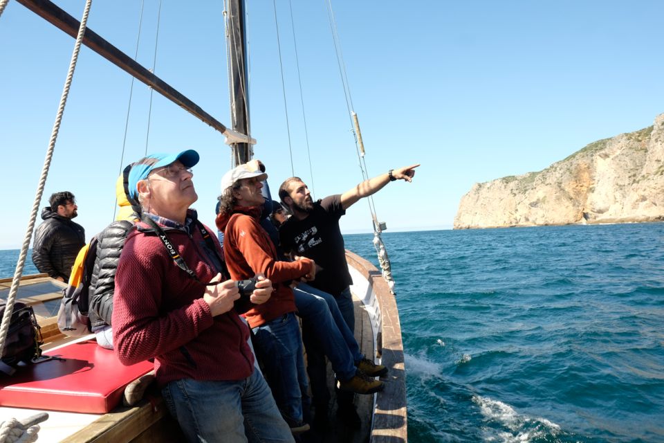 Sesimbra: Cliffs, Bays & Beaches Aboard a Traditional Boat - Booking & Meeting Information