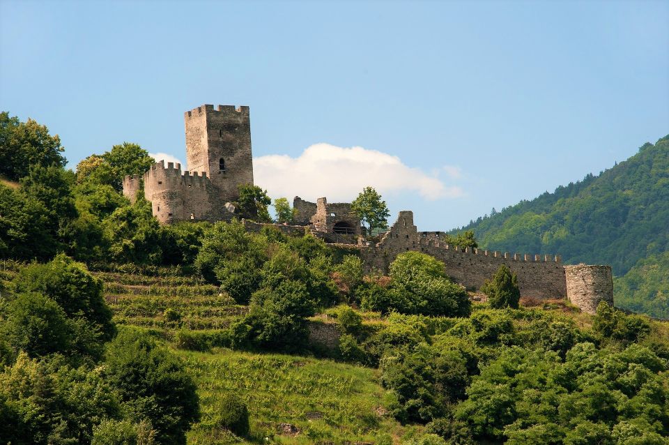 Vienna: Wachau Valley Private Kayak and Wine Tour - Customer Review and Recommendations