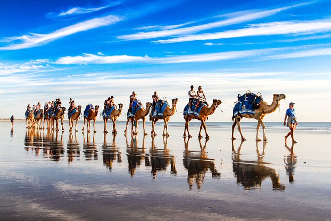 1 Hour Broome Sunset Camel Tour - Booking and Cancellation Terms