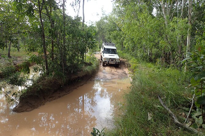 6-Day Best of Cairns Including the Great Barrier Reef, Kuranda and the Daintree Rainforest - Accommodation and Transportation