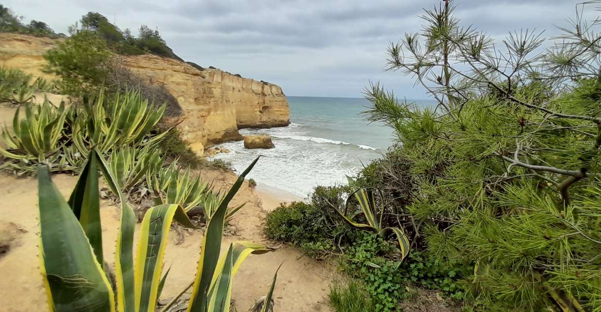 Albufeira: Algarve Cliffs and The Chapel of Bones Tour - Directions