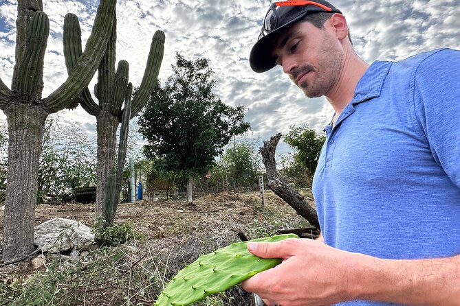 Azteca Cactus Taco - Farm to Table Cooking Class in Los Cabos - Additional Details