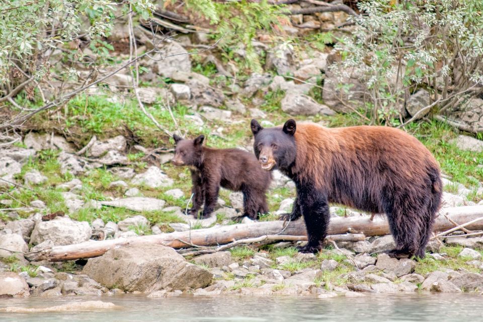 Canada 7–Day National Parks Camping Tour From Seattle - Important Information for Participants