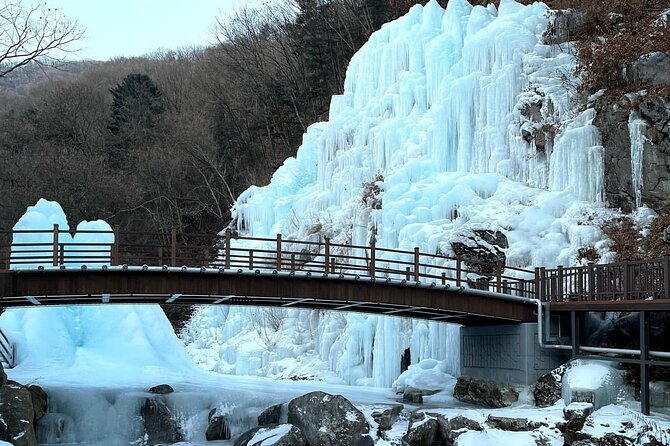 Eobi Ice Valley & Nami Island & Garden of Morning Calm Lighting Festival [Seoul] - Nami Island Winter Wonderland