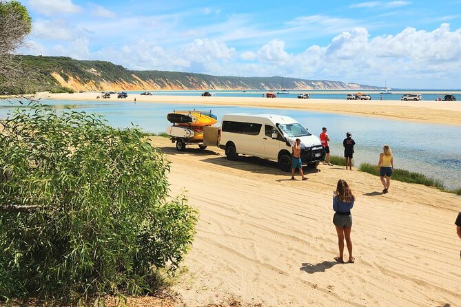 Epic Kayak With Dolphins & Wildlife - 4WD Beach Adventure Noosa - Essential Tour Information