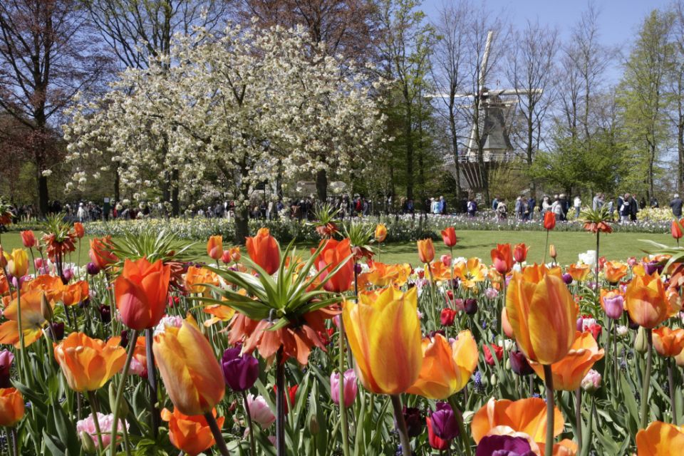 From Amsterdam: Keukenhof Entrance and Public Bus Transfer - Bus Transfer Details