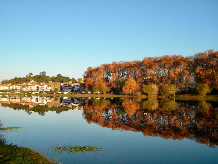 From Porto: Viana Castelo and Ponte Lima Private Tour - Customer Reviews and Nationalities