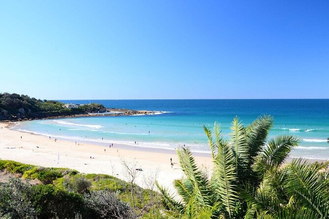 From Sydney: Full Day Tour of Golden Beaches and Ocean Vistas - Planning Your Sydney Beaches Tour