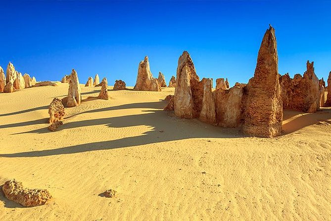 Full-Day Pinnacles Desert and Yanchep National Park Tour From Perth - Tour Logistics and Essentials