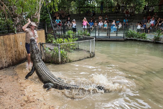 Hartleys Crocodile Adventures General Entry Ticket - Inclusions With General Entry Ticket