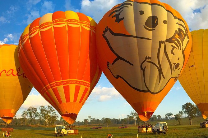 Hot Air Balloon Flight Brisbane With Vineyard Breakfast - Enjoying the Vineyard Breakfast