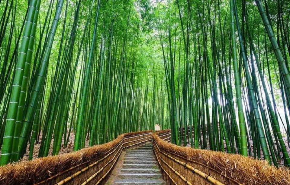 Kyoto/Osaka: Sanzenin, Bamboo Forest, & Arashiyama Day Trip - Common questions