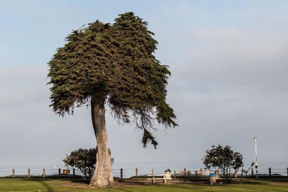 La Jolla: Self-Guided Smartphone Audio Tour - Important Tour Information