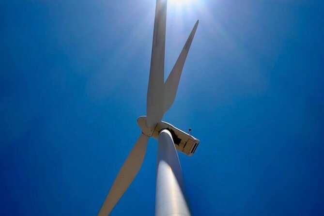 Palm Springs Windmill Tours - Educational Value and Tour Highlights