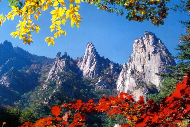 Private Hiking Tour in Seorak National Park With Korean Authentic Chicken Soup - Seorak National Park Hiking Experience