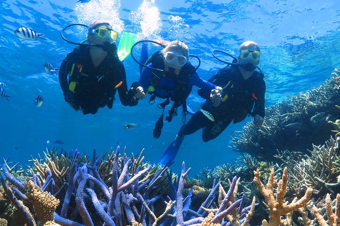 Quicksilver Outer Great Barrier Reef Snorkel Cruise From Palm Cove - Booking and Cancellation Policy