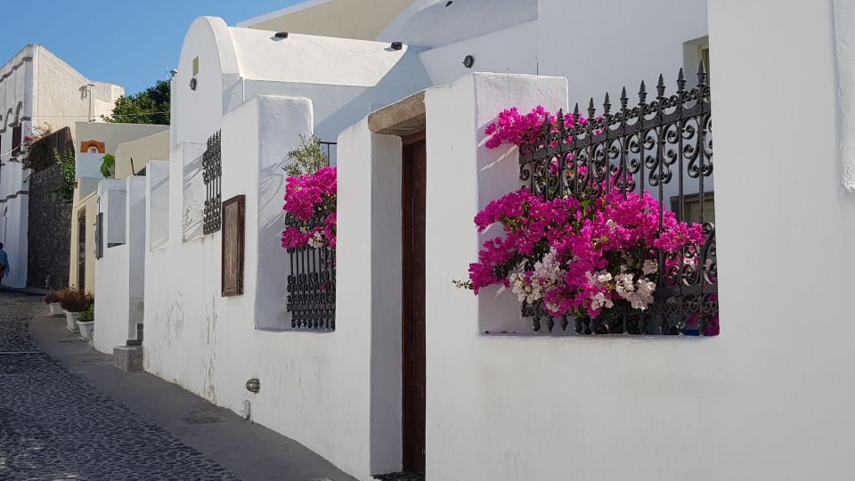 Santorini: Megalochori and Oia Guided Tour With Wine Tasting - Common questions