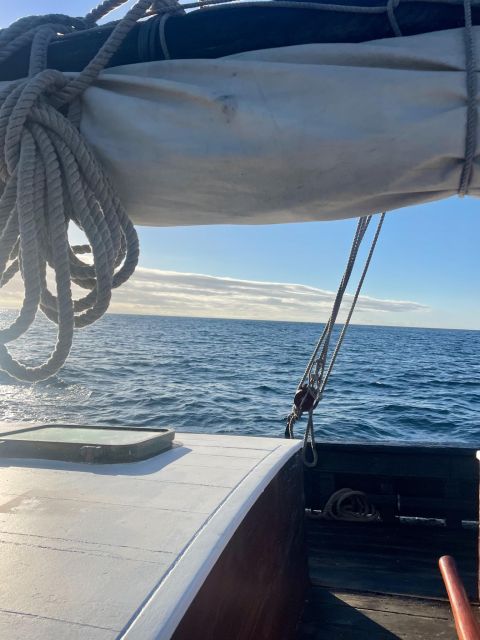 Sesimbra: Cliffs, Bays & Beaches Aboard a Traditional Boat - Additional Information