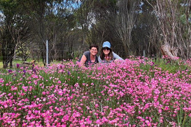 Spring Wildflower Private Day Tours - What to Expect on Tour