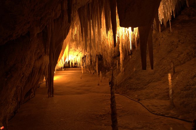 Tahune Airwalk & Hastings Cave Active Day Tour From Hobart - Physical Requirements and Access