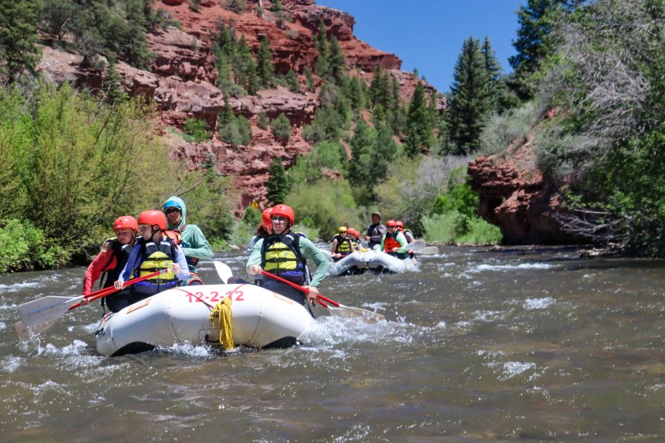 Telluride Whitewater Rafting - Morning Half Day - What to Bring