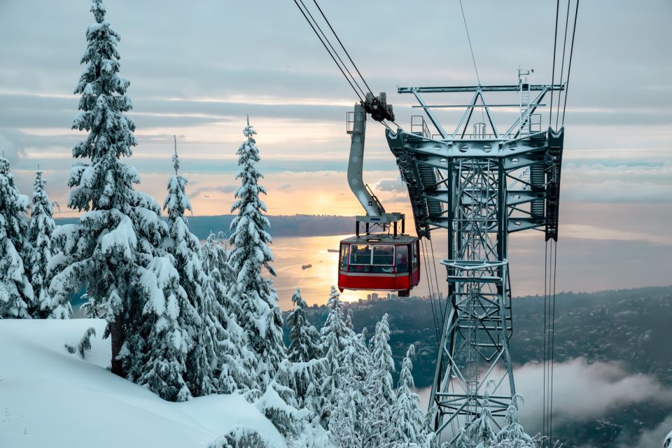 Vancouver: Grouse Mountain Admission Ticket - Important Information