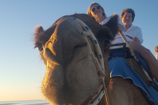 1 Hour Broome Sunset Camel Tour - Accessibility and Special Notes