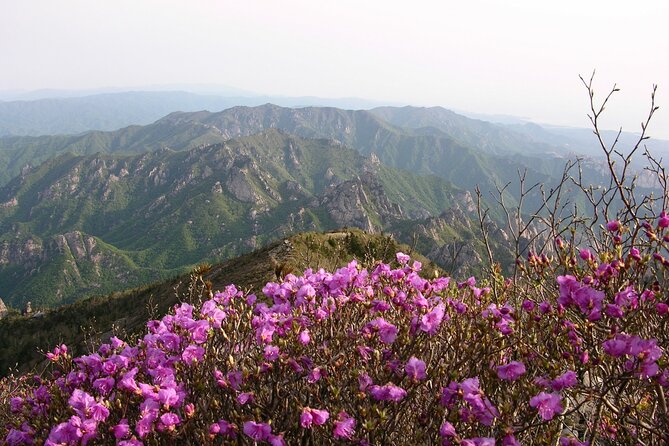 2 Days Private Tour : Mt Seorak & Naksansa Temple & Nami Island From Seoul - Travel Tips and Reminders