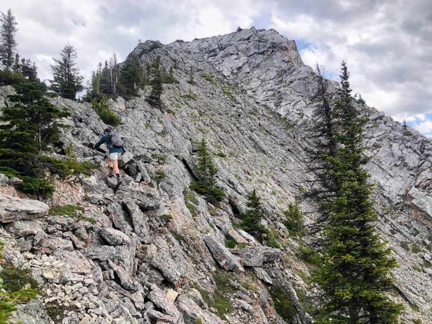 Banff: Sulphur Mountain Highline Guided Hike - Common questions