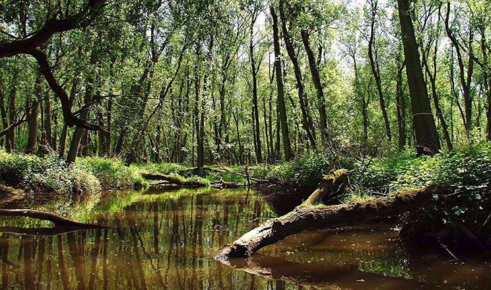 Biesbosch: Boat Cruise Through National Park - Final Words