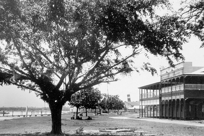 Cairns History Walking Tour - Booking and Reviews