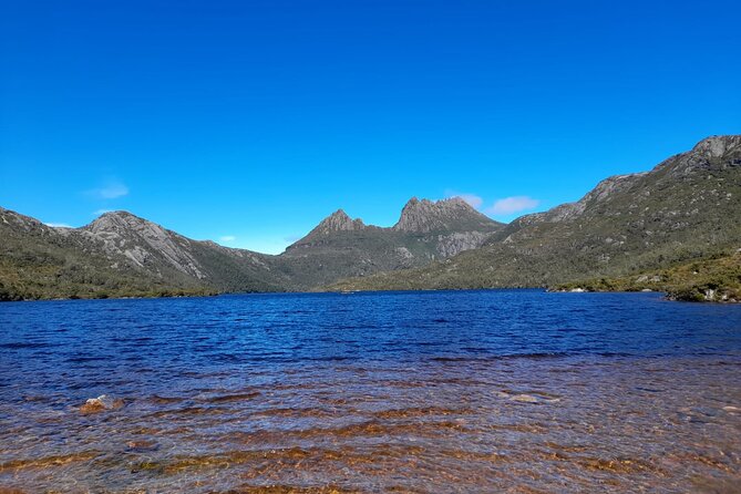 Cradle Mountain : Hobart to Cradle Active Day Trip - Booking and Cancellation Policies