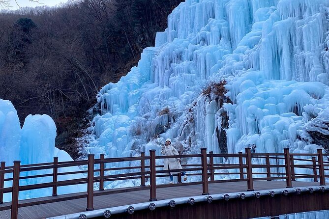 Eobi Ice Valley & Nami Island & Garden of Morning Calm Lighting Festival [Seoul] - Garden of Morning Calm Lights