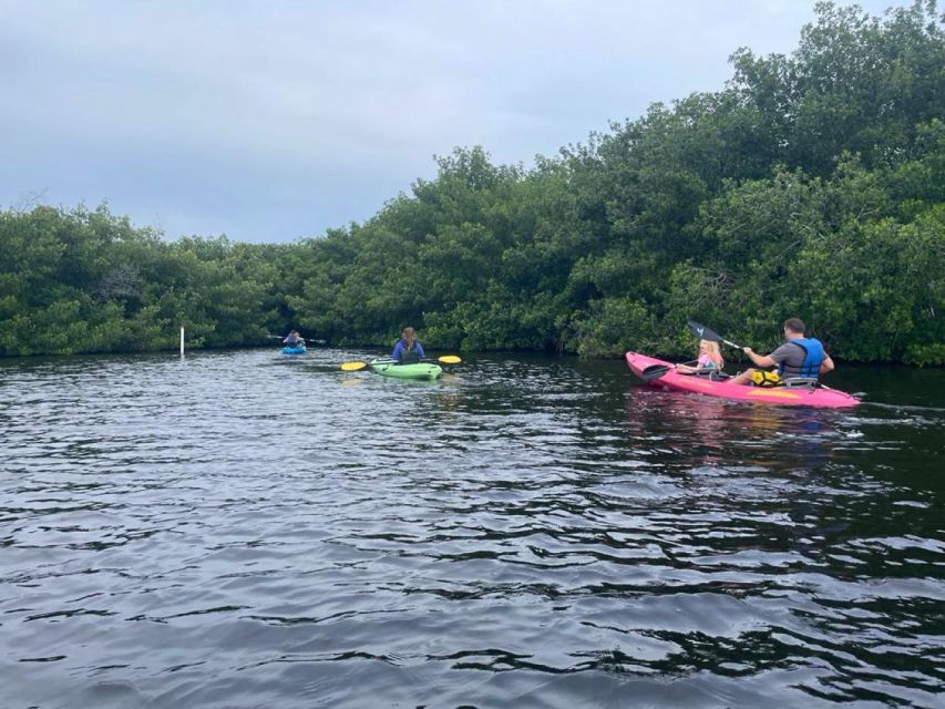 Everglades Kayak Eco Tour - Common questions