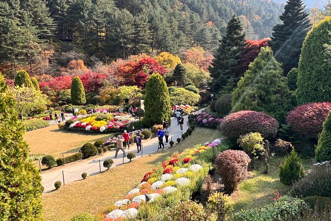 Four Seasons of Nami Island With Garden of Morning Calm Tour - Tips for a Memorable Trip