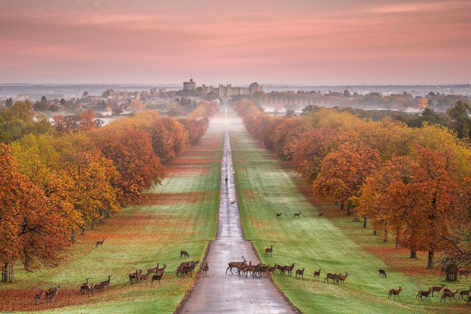 From London: Windsor Castle Afternoon Sightseeing Tour - Final Words