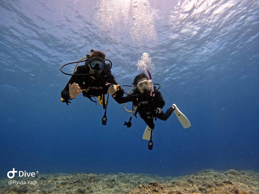 From Naha Scuba Diving Trip in Kerama(For Certified Divers) - Common questions