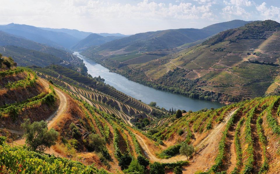 From Porto: Douro Tour Pinhão/Régua Full Day All Included - Important Reminders and Restrictions