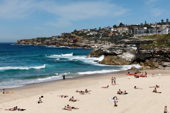 From Sydney: Full Day Tour of Golden Beaches and Ocean Vistas - Tour Reviews and Testimonials