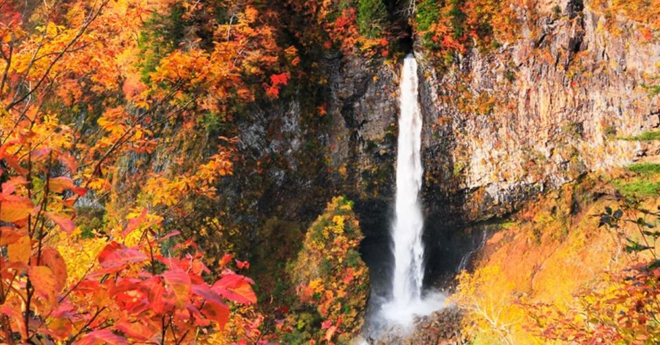 From Tokyo: Nikko UNESCO Shrine and Nature View 1-Day Tour - Final Words