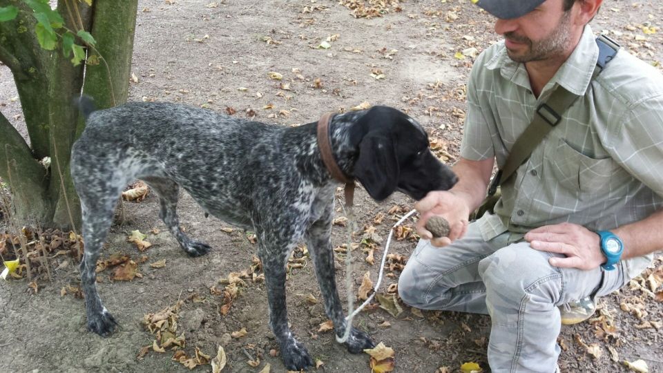 From Turin: Half-Day Truffle Hunting and Lunch in Piedmont - Customer Testimonial