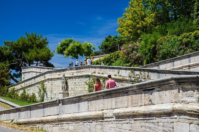 Guided Tour of Avignon - Contact Information and Booking Details